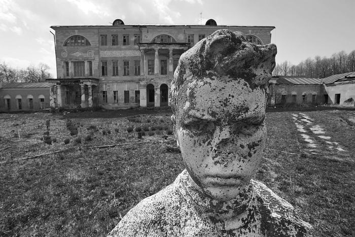 Современная фотография